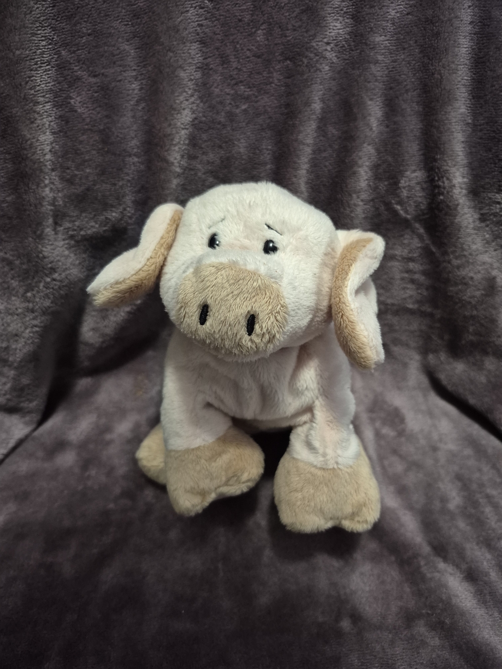 Webkinz Floppy Pig